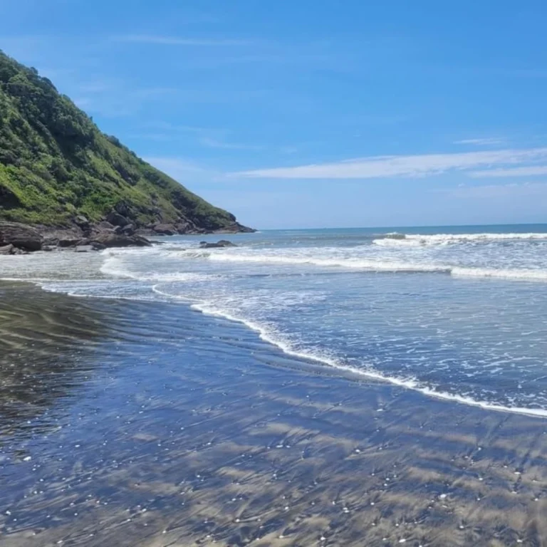 Ponta da Praia Juréia